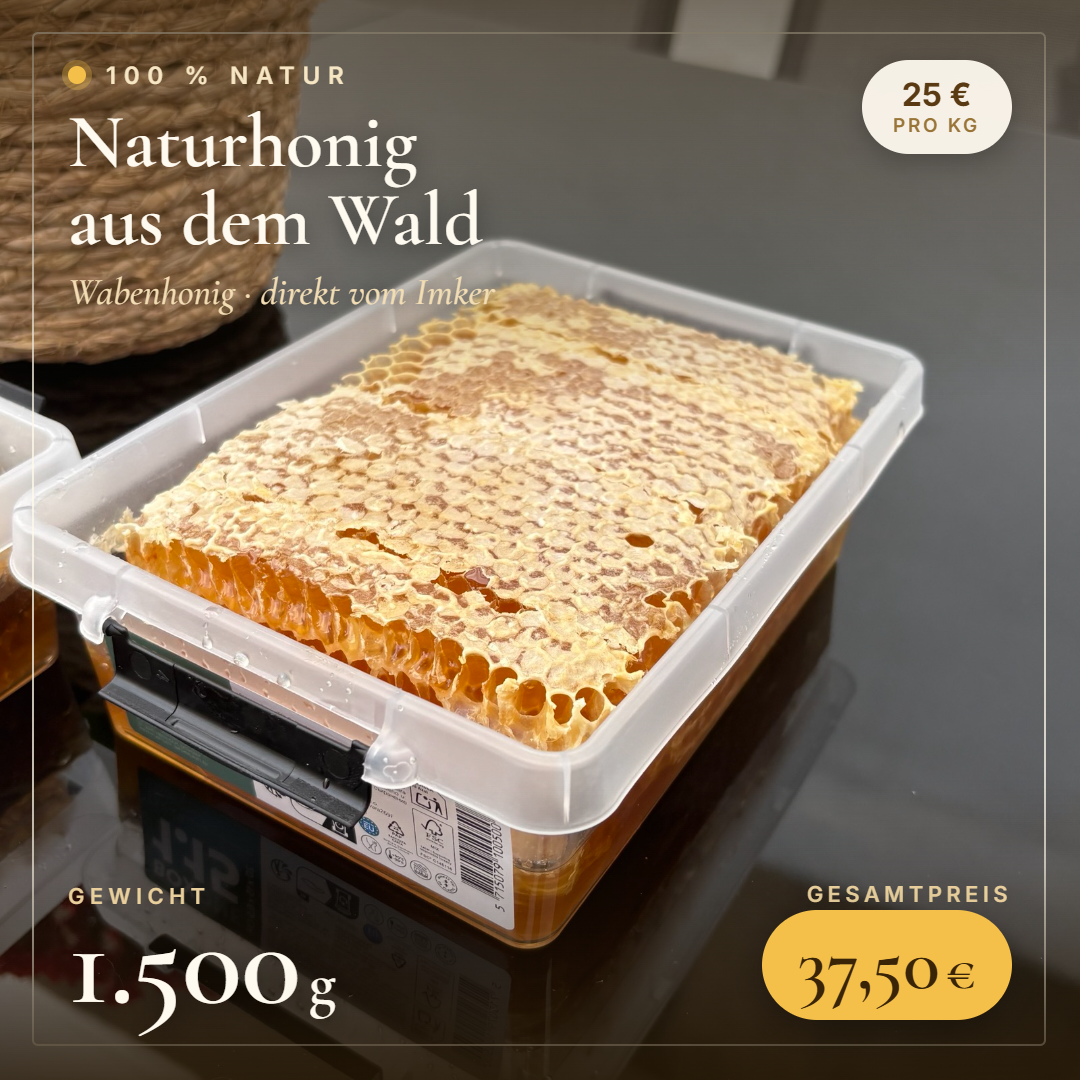 Wabenhonig in der Box – 1500 g
