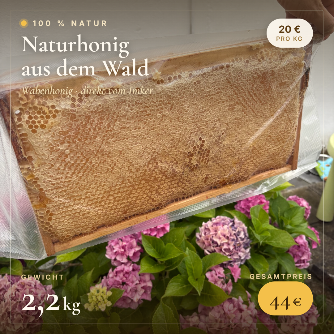 Wabenhonig im Rahmen – 2,2 kg