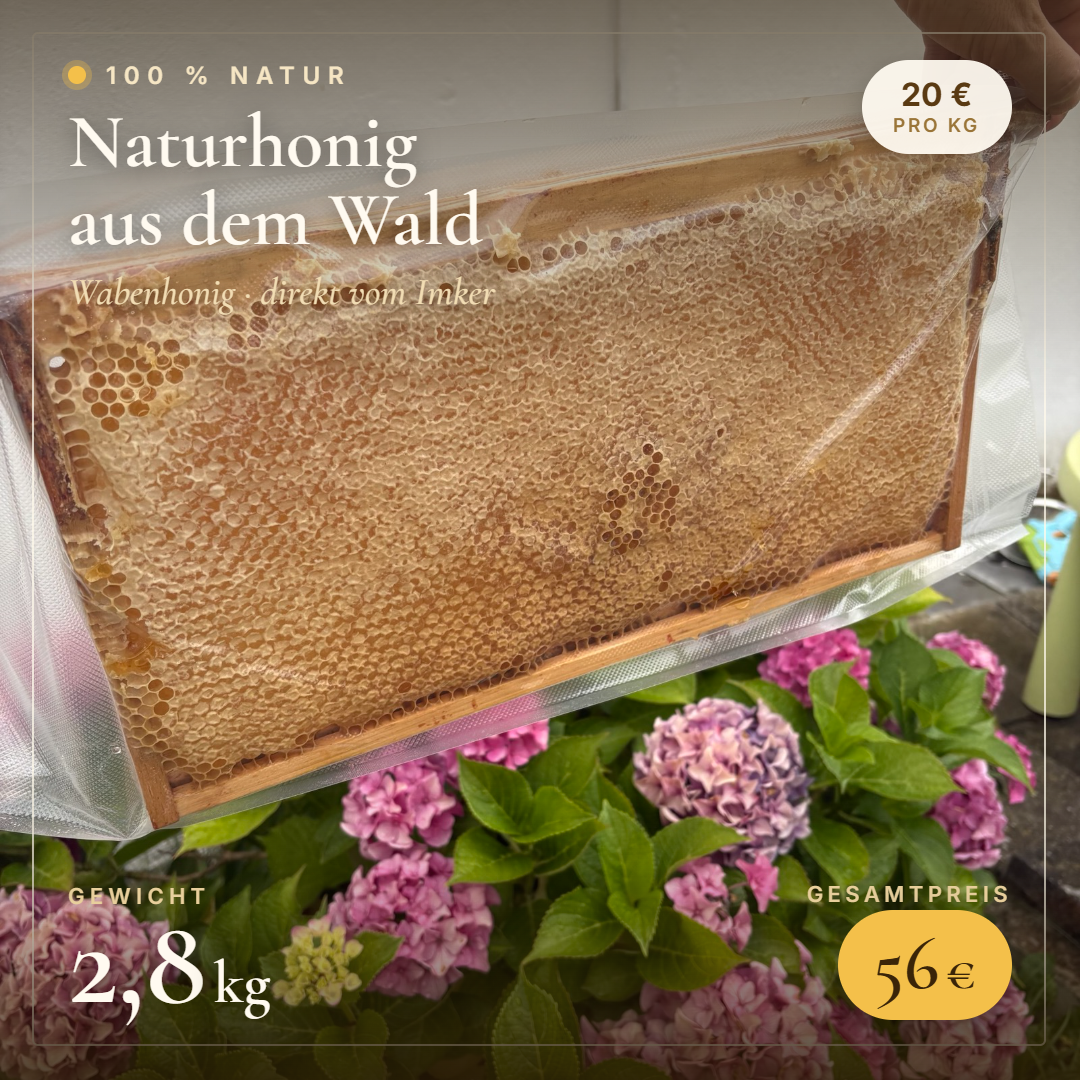 Wabenhonig im Rahmen – 2,8 kg