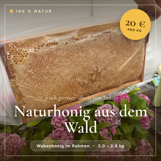 Wabenhonig im Rahmen / Çerçeveli Petek Bal