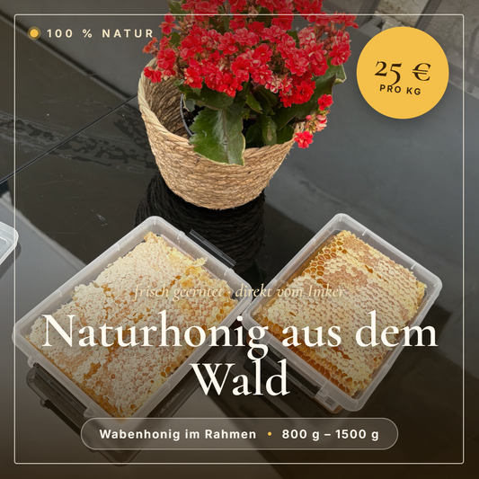 Geschnittener Wabenhonig in der Box – Produktcover